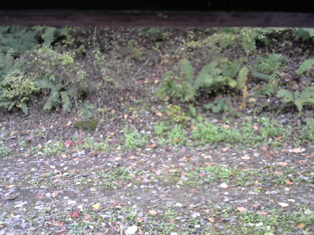 長野県菅平高原 ゆたか山荘 南側 2025/10/18 09:30