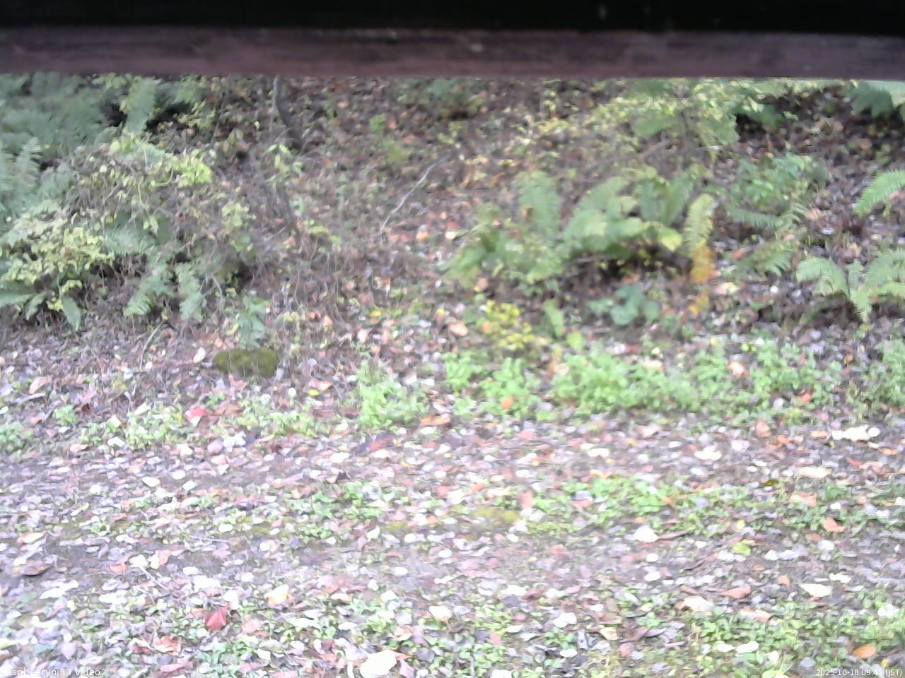 長野県菅平高原 ゆたか山荘 南側 2025/10/18 09:45
