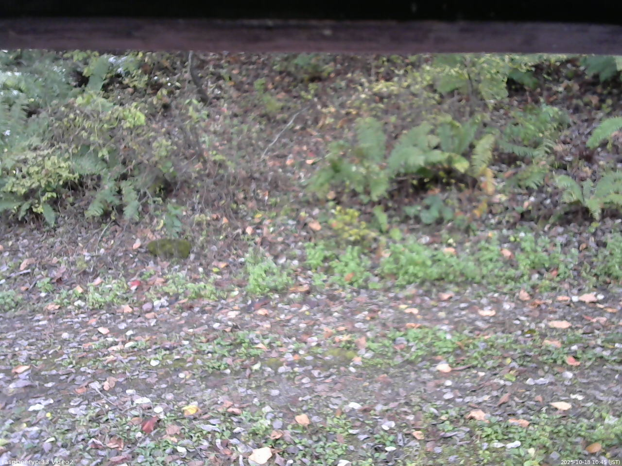 長野県菅平高原 ゆたか山荘 南側 2025/10/18 10:45