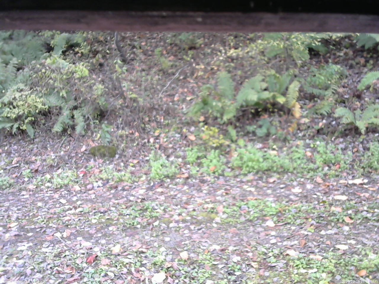 長野県菅平高原 ゆたか山荘 南側 2025/10/18 11:15