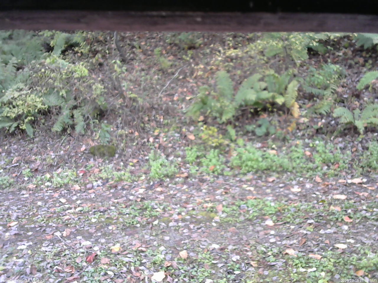 長野県菅平高原 ゆたか山荘 南側 2025/10/18 11:30