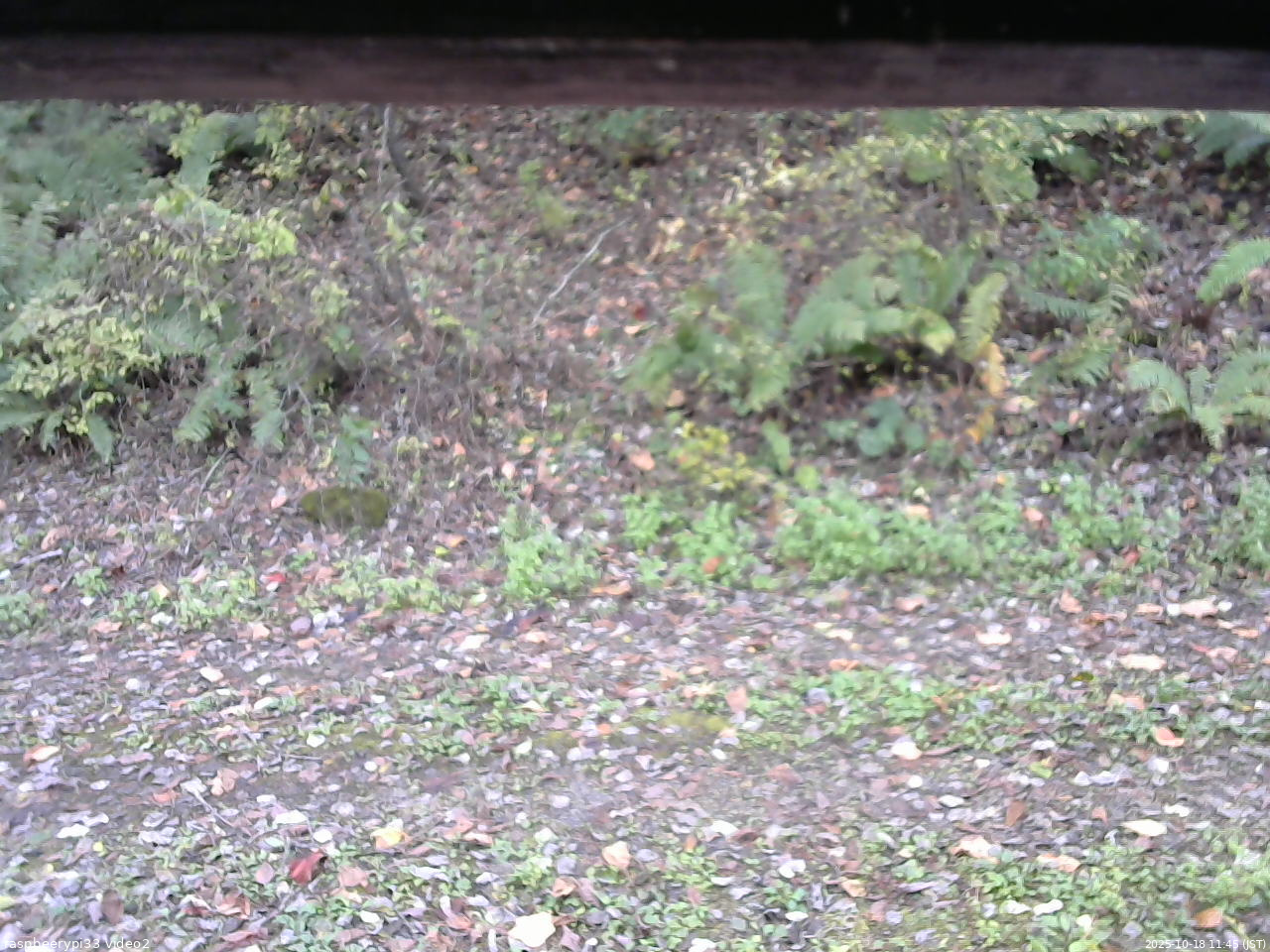 長野県菅平高原 ゆたか山荘 南側 2025/10/18 11:45