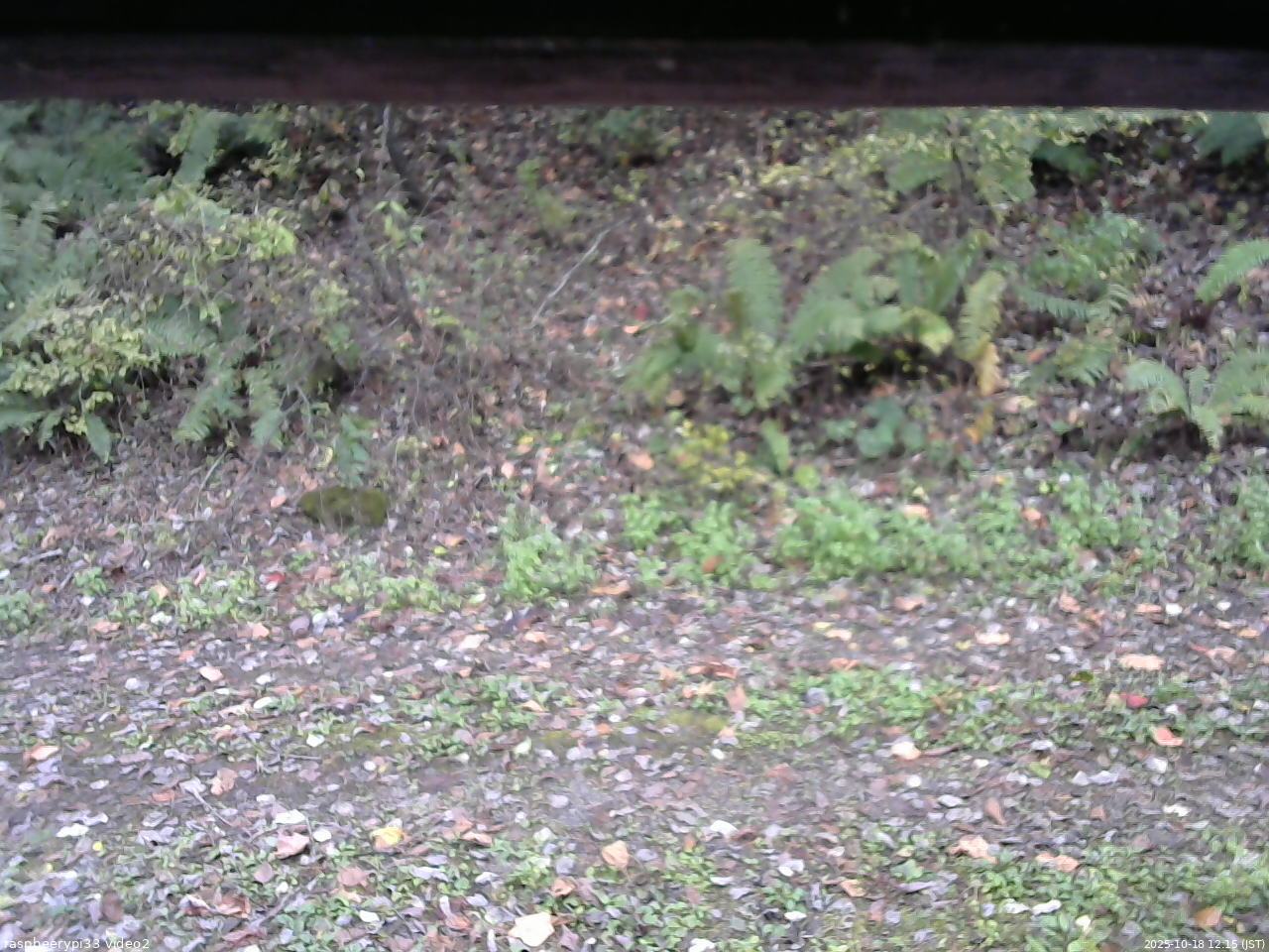 長野県菅平高原 ゆたか山荘 南側 2025/10/18 12:15
