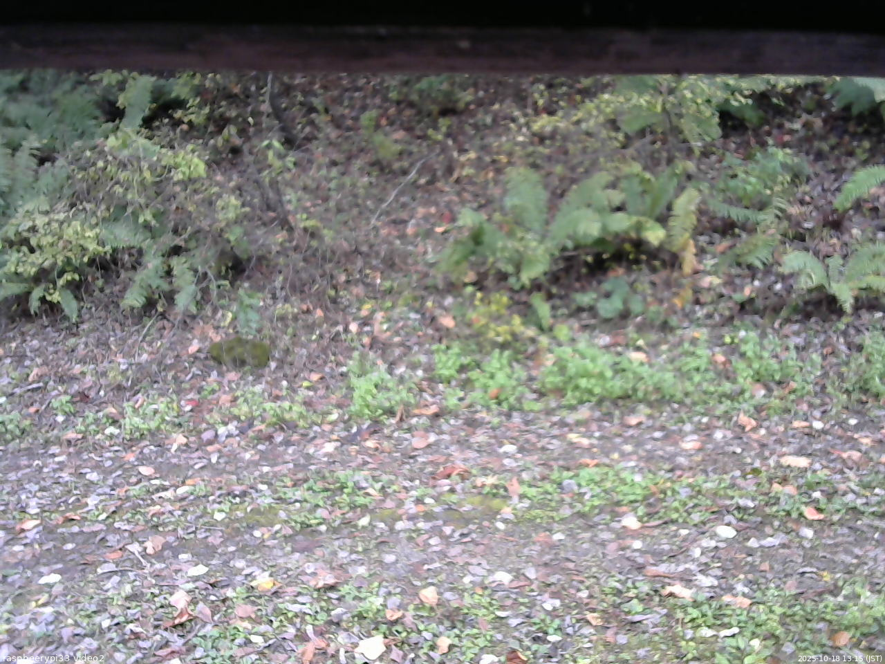 長野県菅平高原 ゆたか山荘 南側 2025/10/18 13:15
