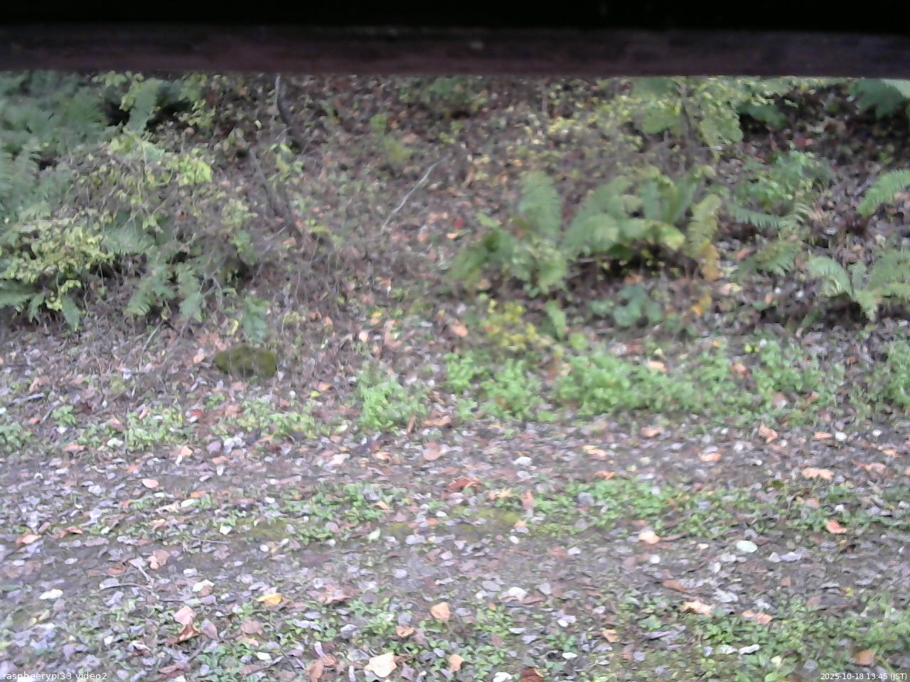 長野県菅平高原 ゆたか山荘 南側 2025/10/18 13:45