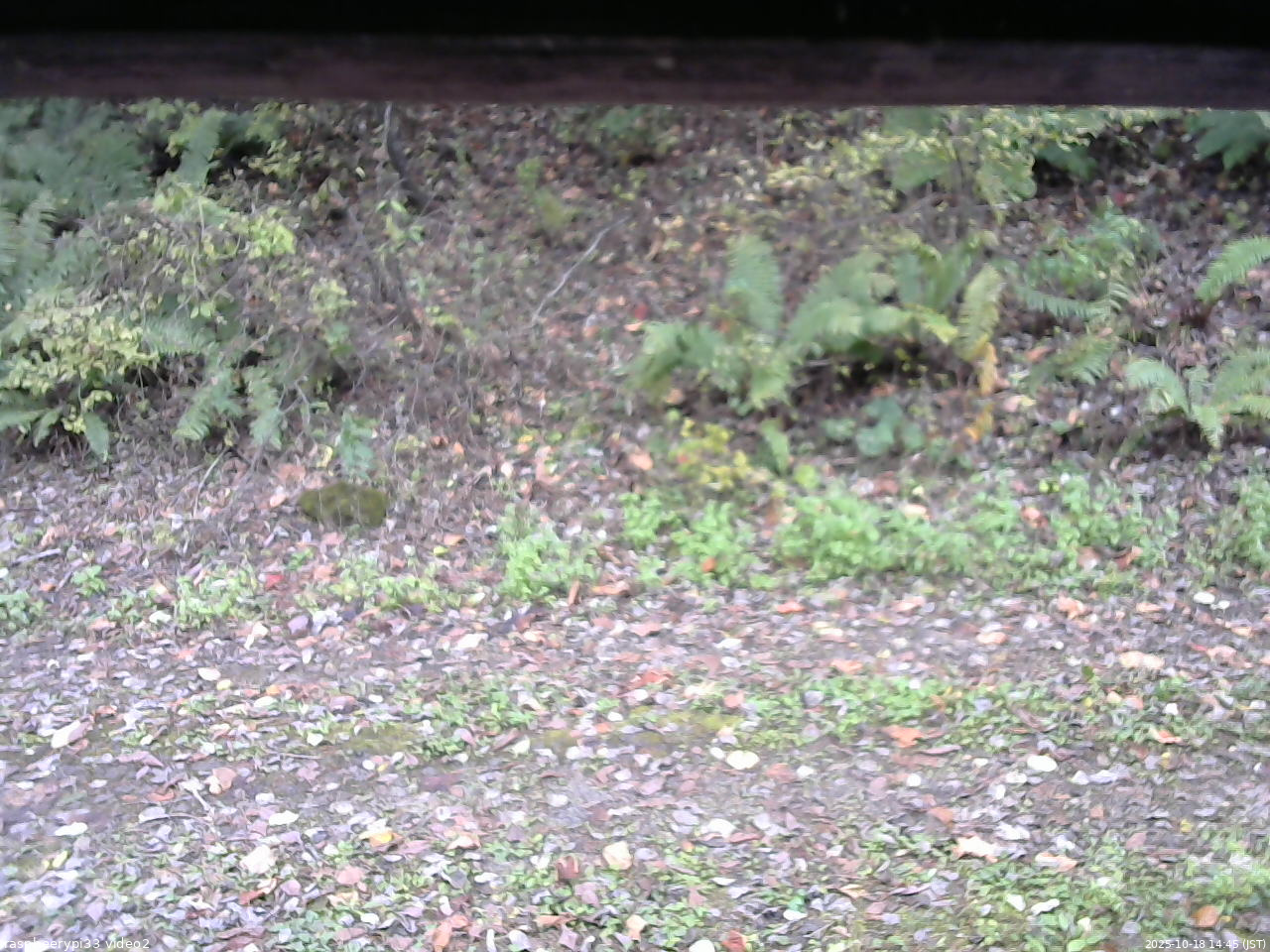 長野県菅平高原 ゆたか山荘 南側 2025/10/18 14:45