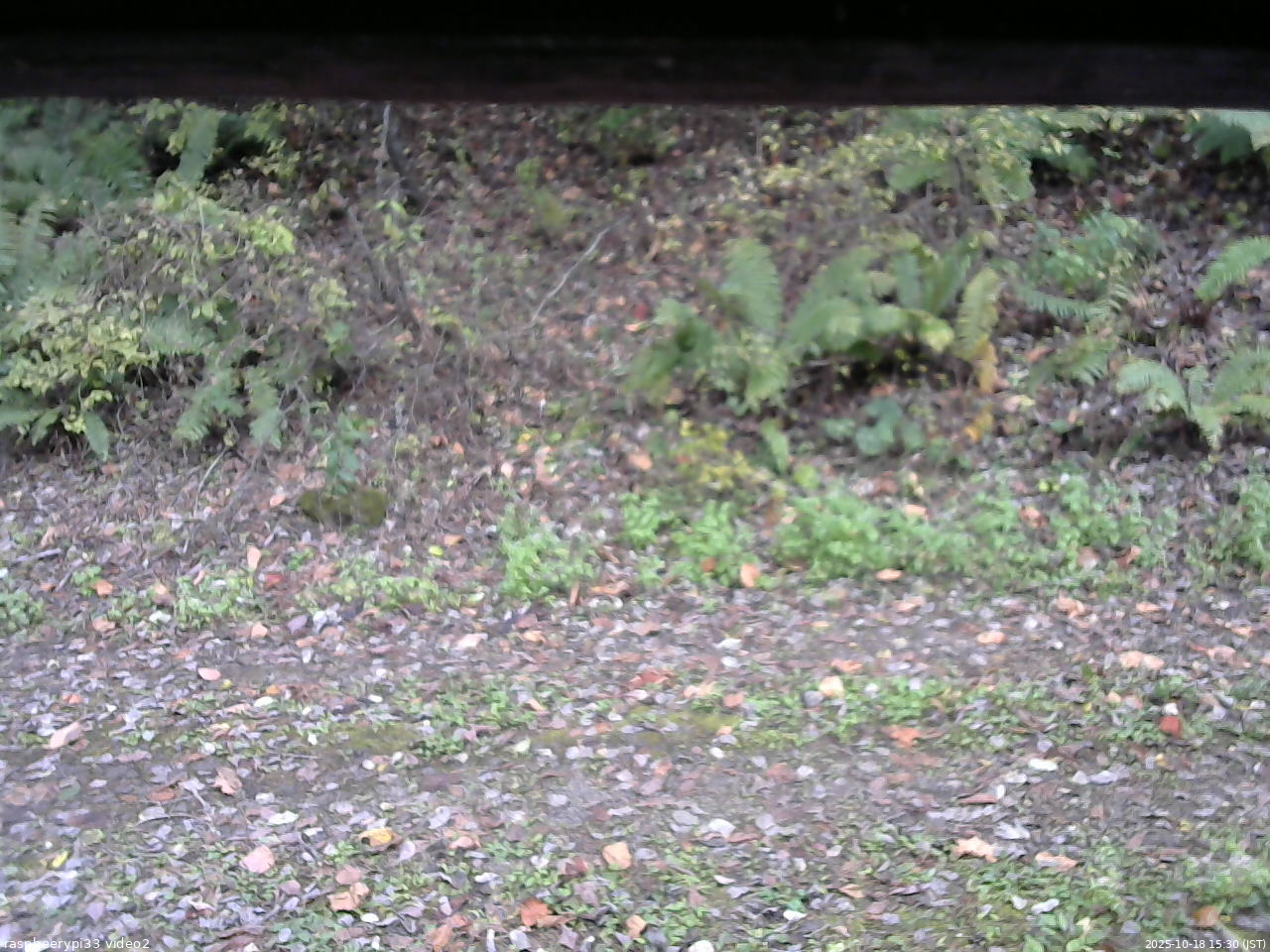 長野県菅平高原 ゆたか山荘 南側 2025/10/18 15:30