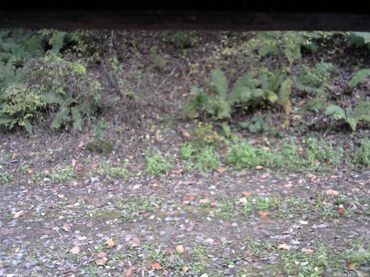 長野県菅平高原 ゆたか山荘 南側 2025/10/18 16:00