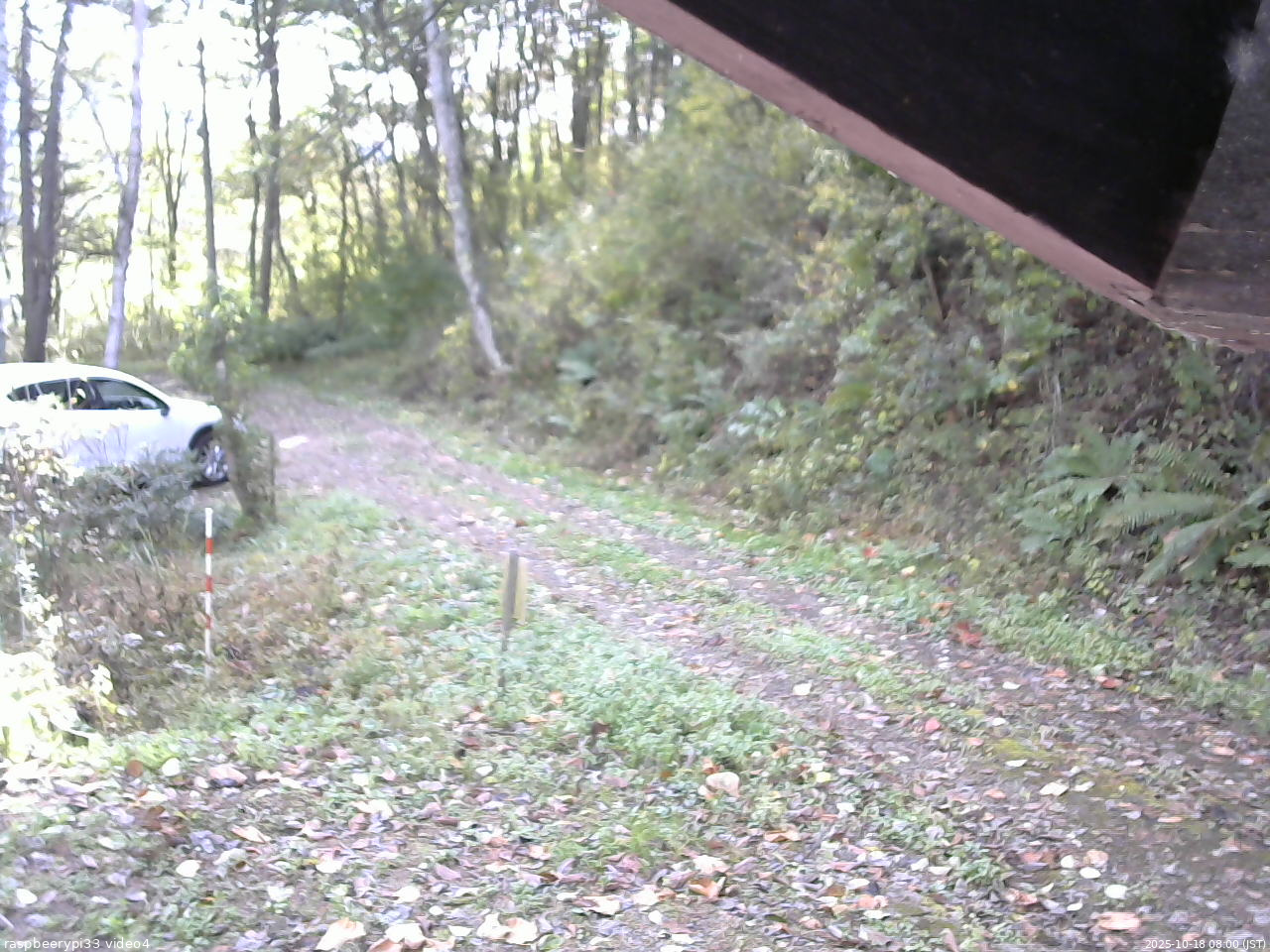 長野県菅平高原 ゆたか山荘 東側(坂下) 2025/10/18 08:00