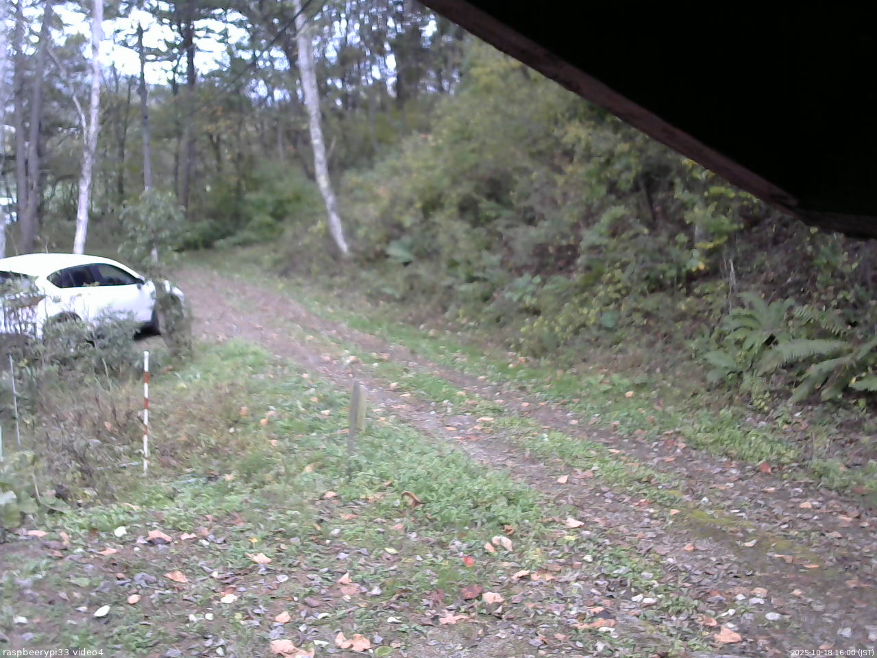 長野県菅平高原 ゆたか山荘 東側(坂下) 2025/10/18 16:00
