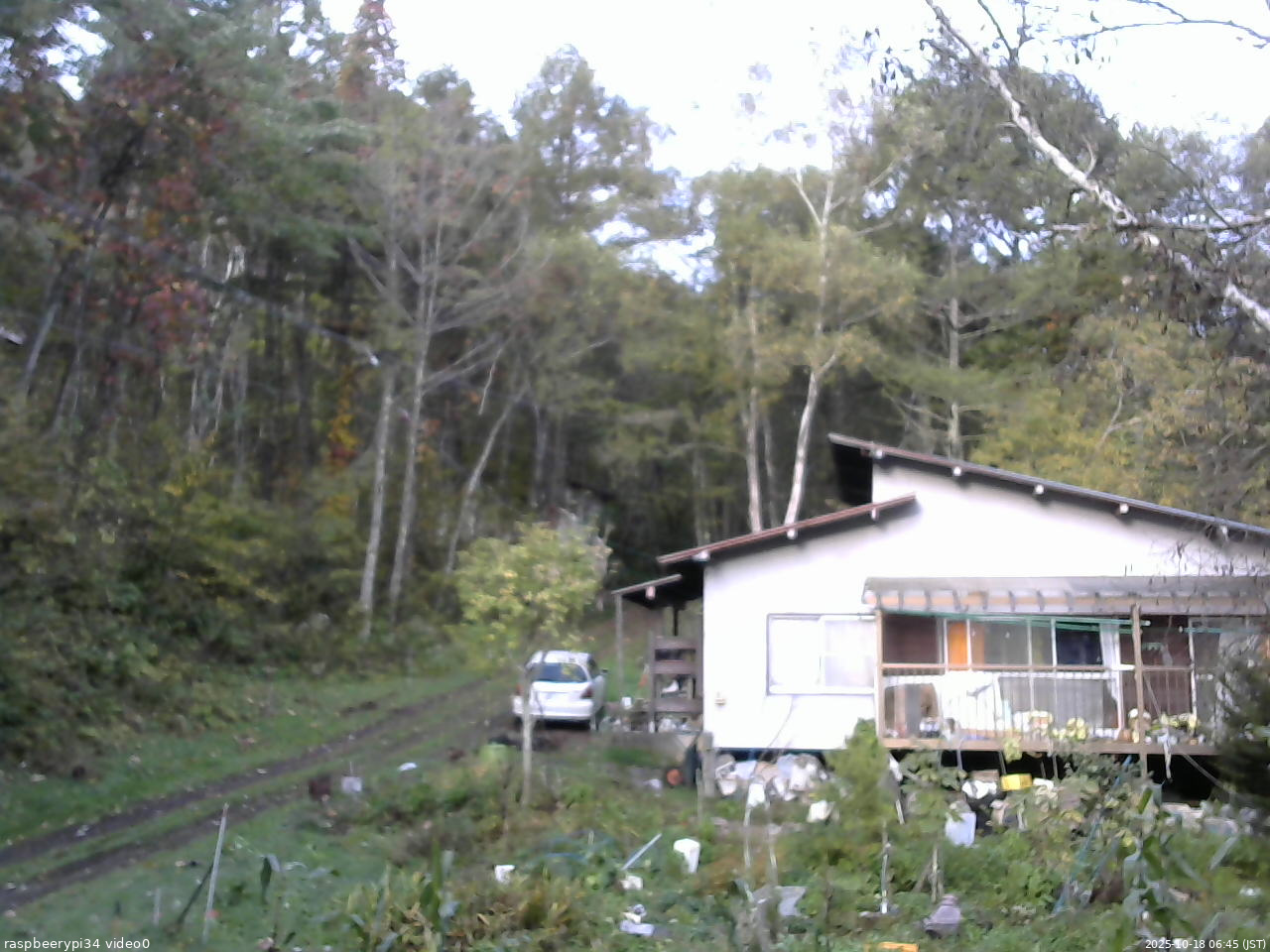 長野県菅平高原 ゆたか山荘 西側(坂上) 2025/10/18 06:45
