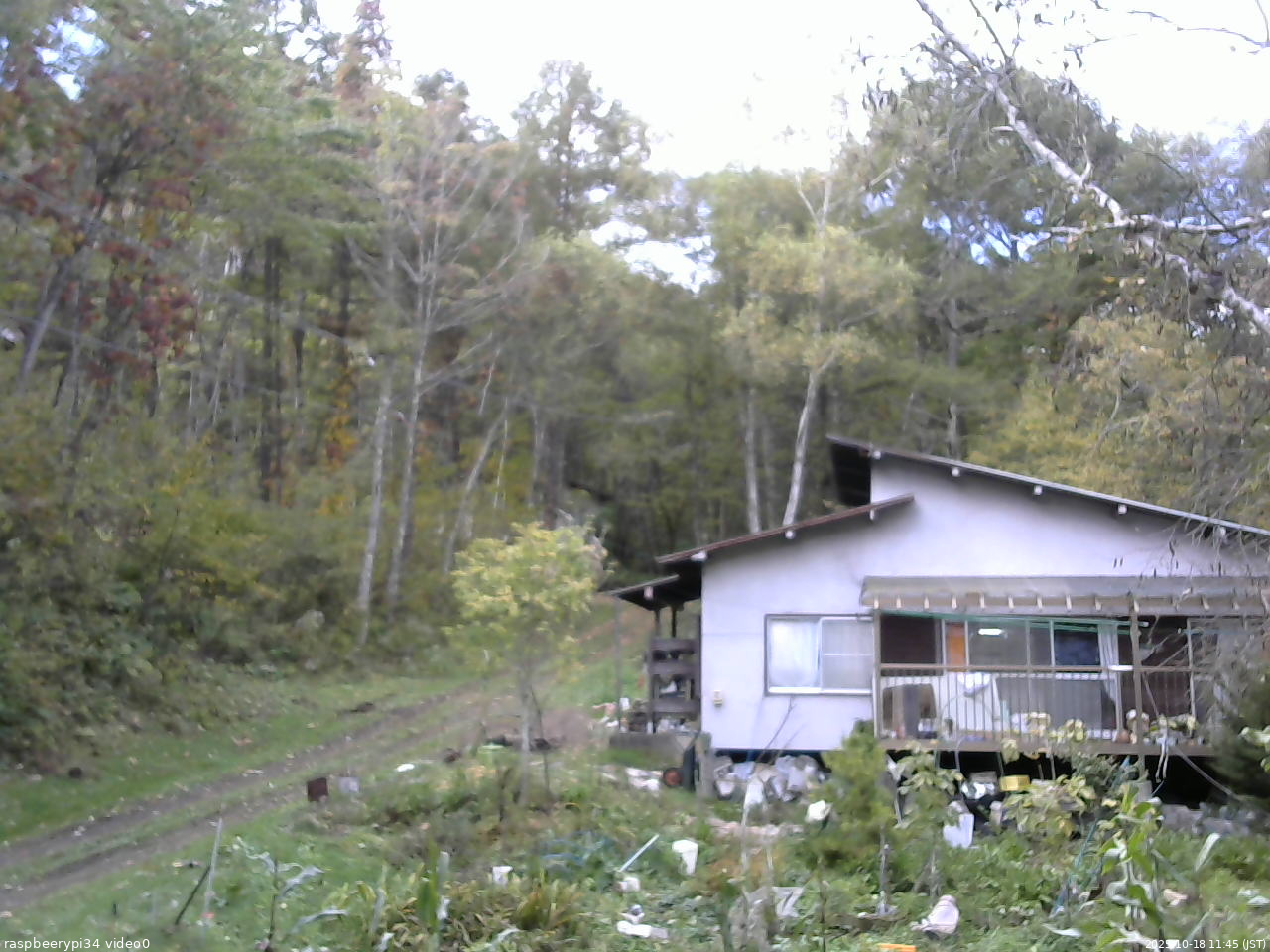 長野県菅平高原 ゆたか山荘 西側(坂上) 2025/10/18 11:45