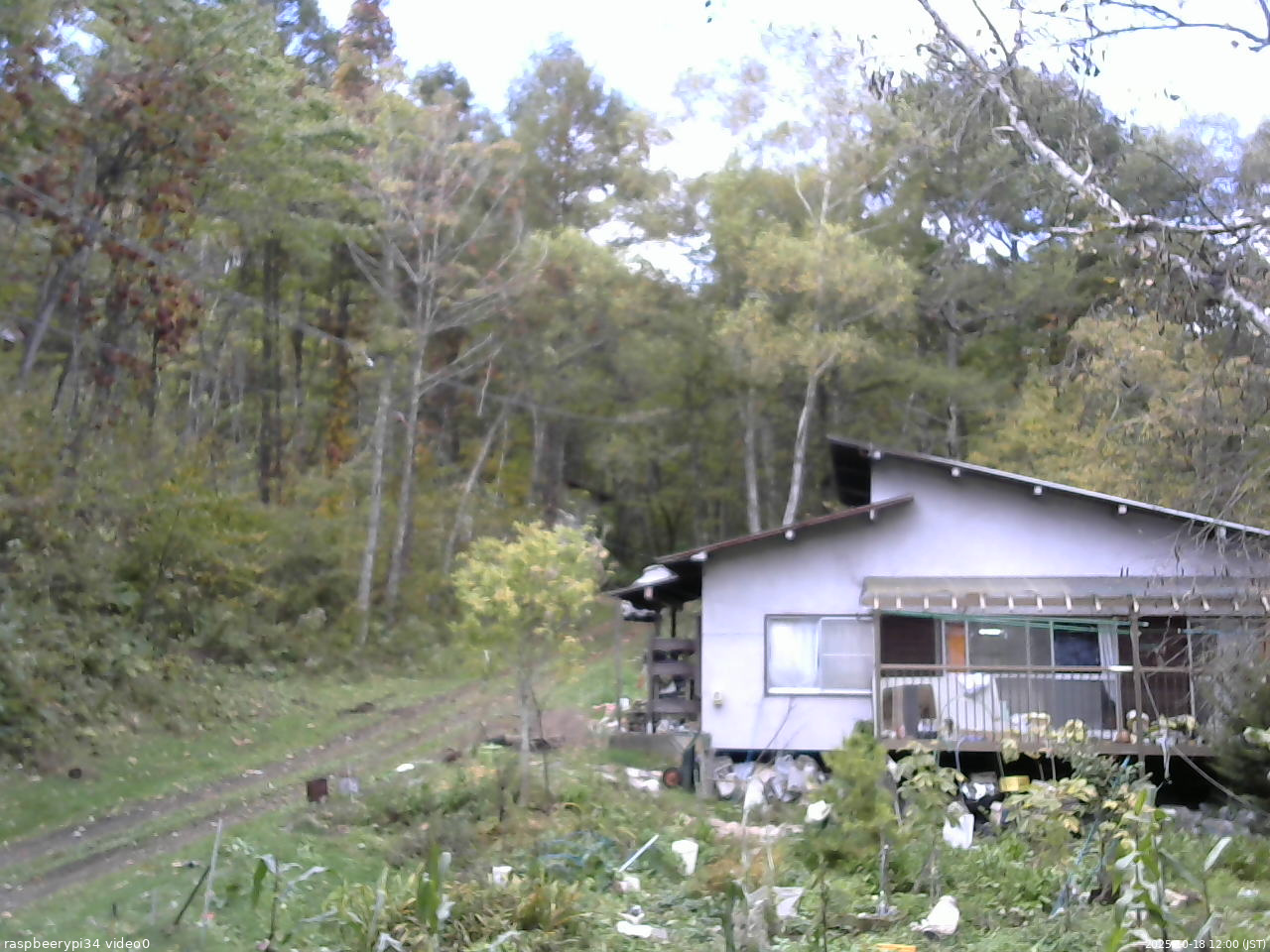 長野県菅平高原 ゆたか山荘 西側(坂上) 2025/10/18 12:00