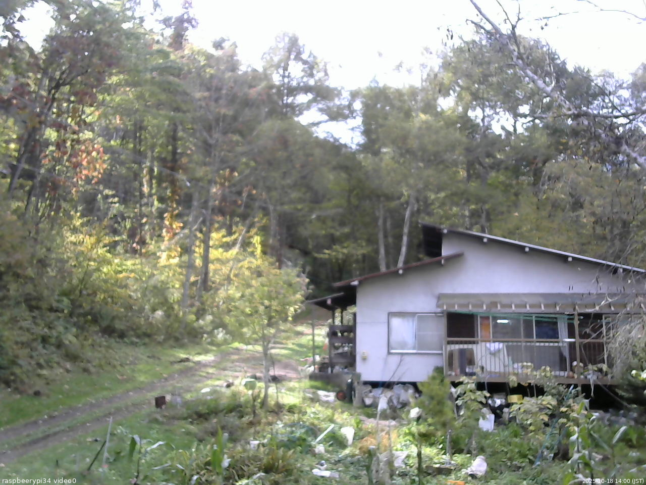 長野県菅平高原 ゆたか山荘 西側(坂上) 2025/10/18 14:00