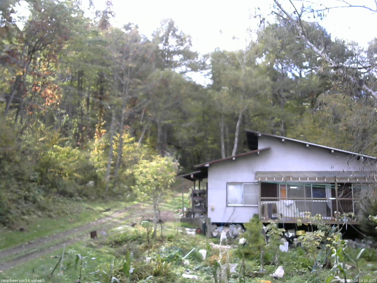 長野県菅平高原 ゆたか山荘 西側(坂上) 2025/10/18 14:15