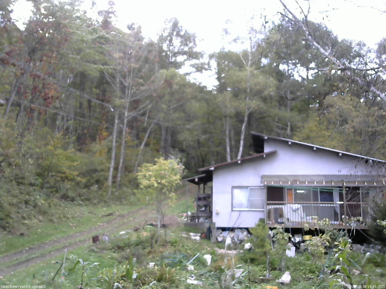 長野県菅平高原 ゆたか山荘 西側(坂上) 2025/10/18 14:45
