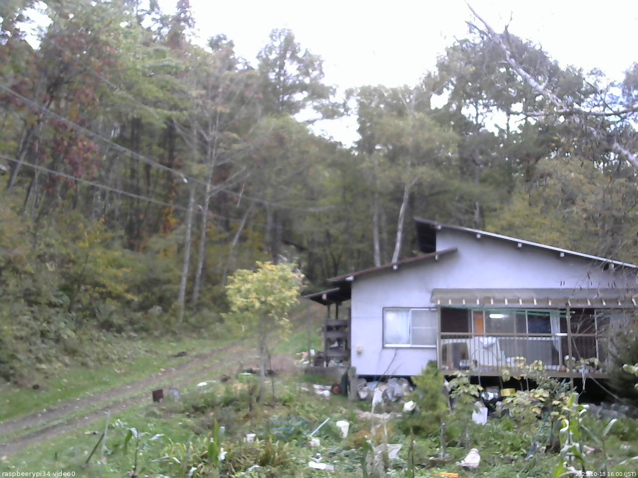 長野県菅平高原 ゆたか山荘 西側(坂上) 2025/10/18 16:00