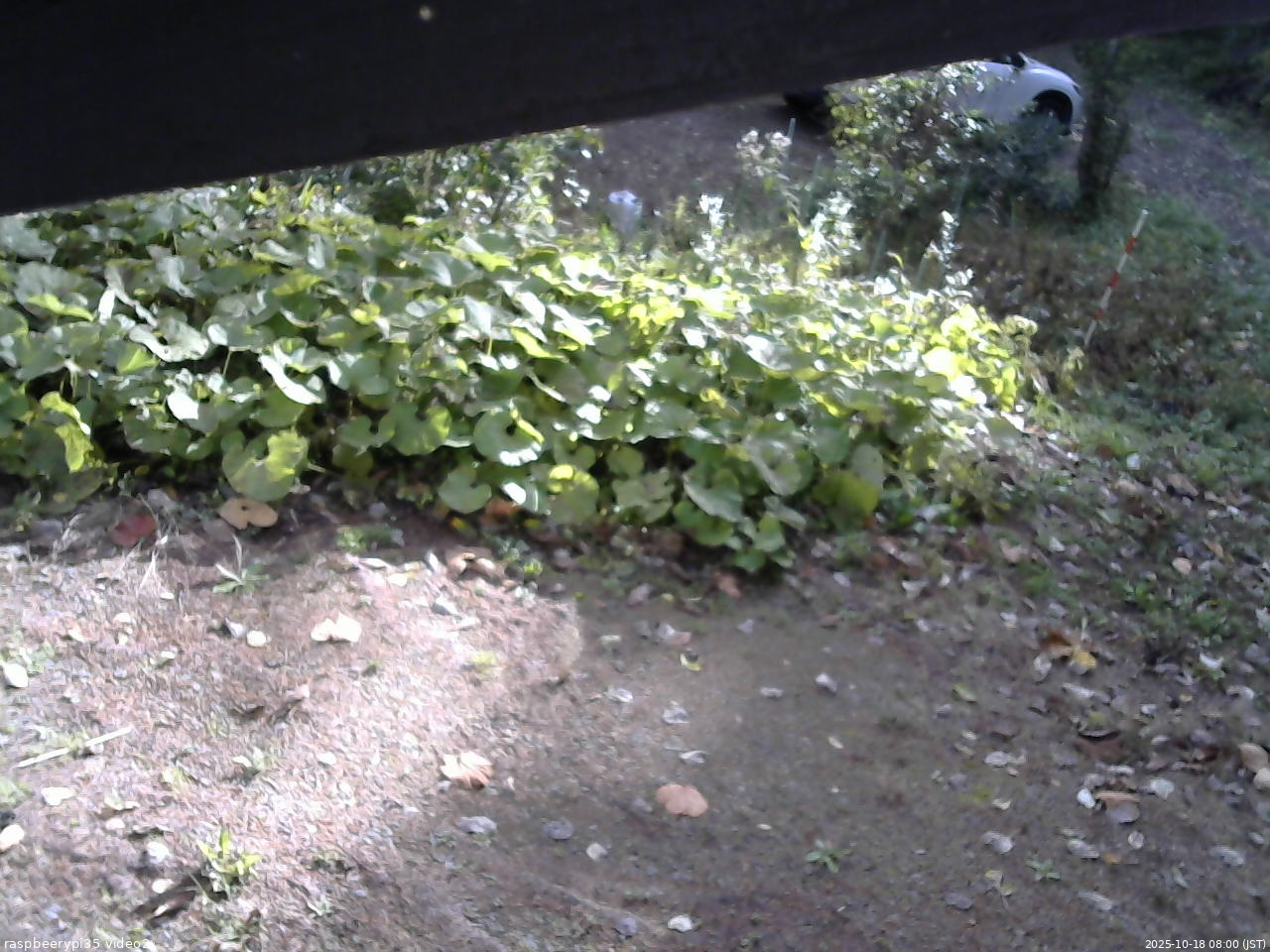 長野県菅平高原 ゆたか山荘 駐車場 2025/10/18 08:00