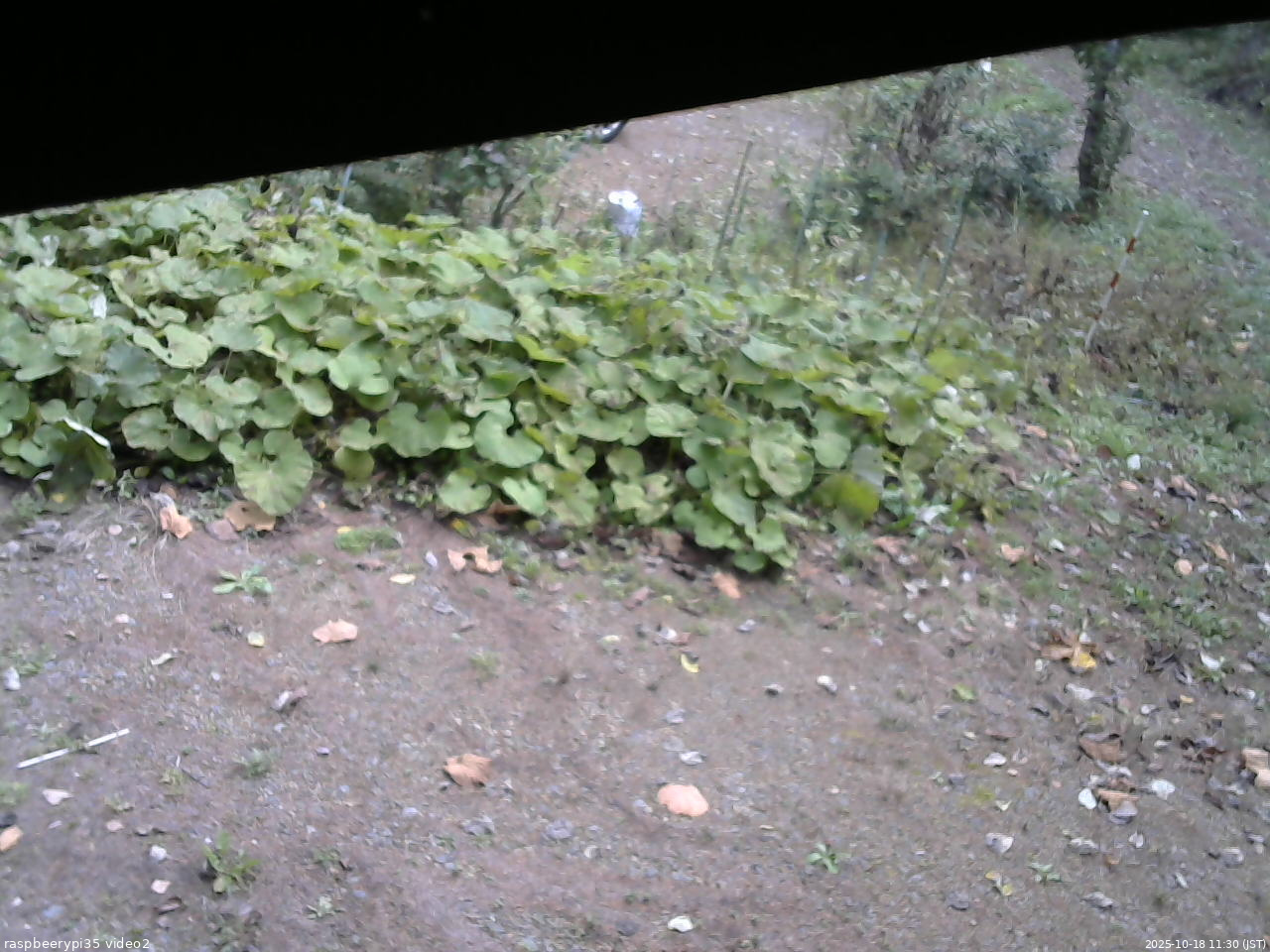 長野県菅平高原 ゆたか山荘 駐車場 2025/10/18 11:30