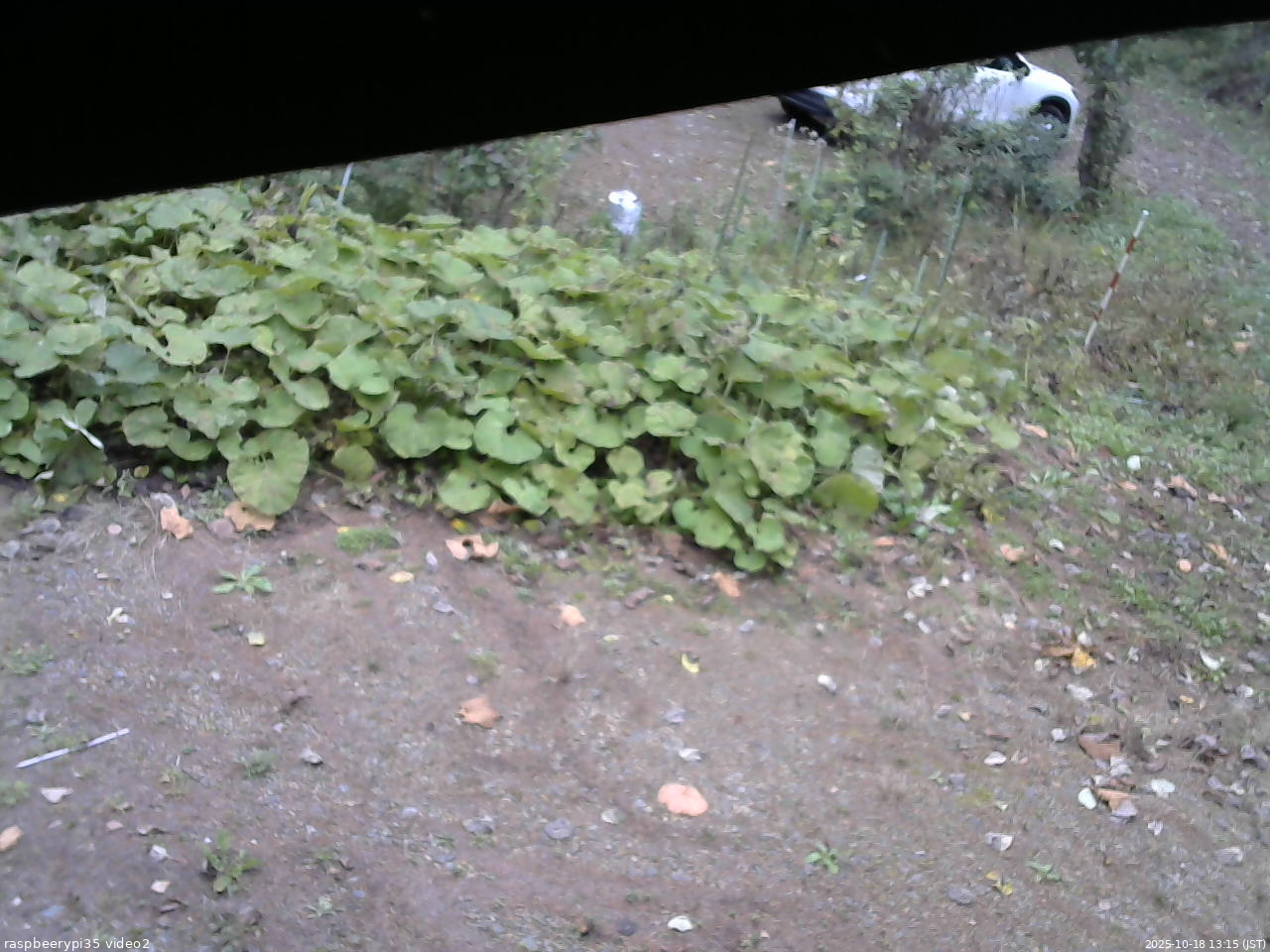 長野県菅平高原 ゆたか山荘 駐車場 2025/10/18 13:15
