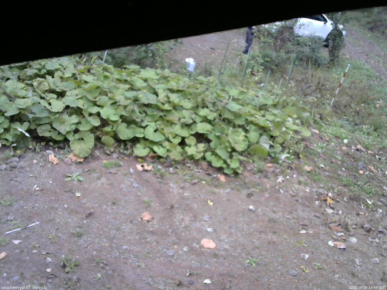長野県菅平高原 ゆたか山荘 駐車場 2025/10/18 14:45