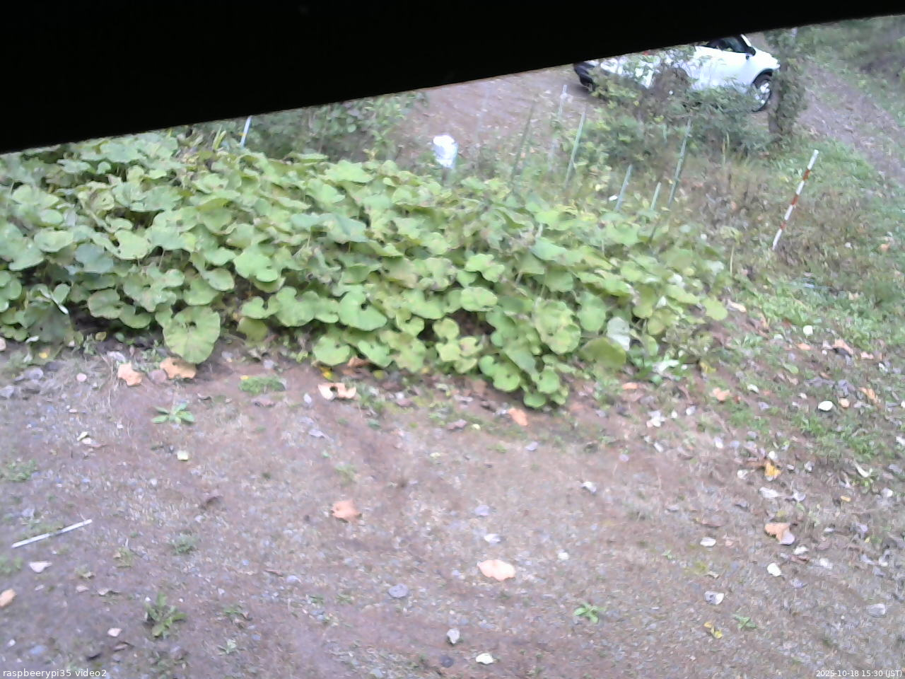 長野県菅平高原 ゆたか山荘 駐車場 2025/10/18 15:30