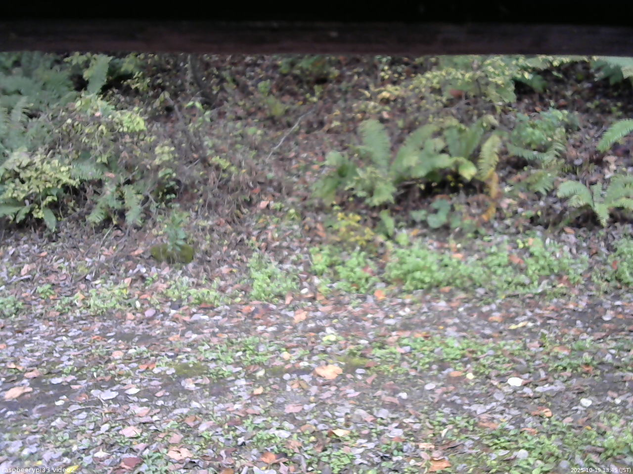 長野県菅平高原 ゆたか山荘 南側 2025/10/19 13:45