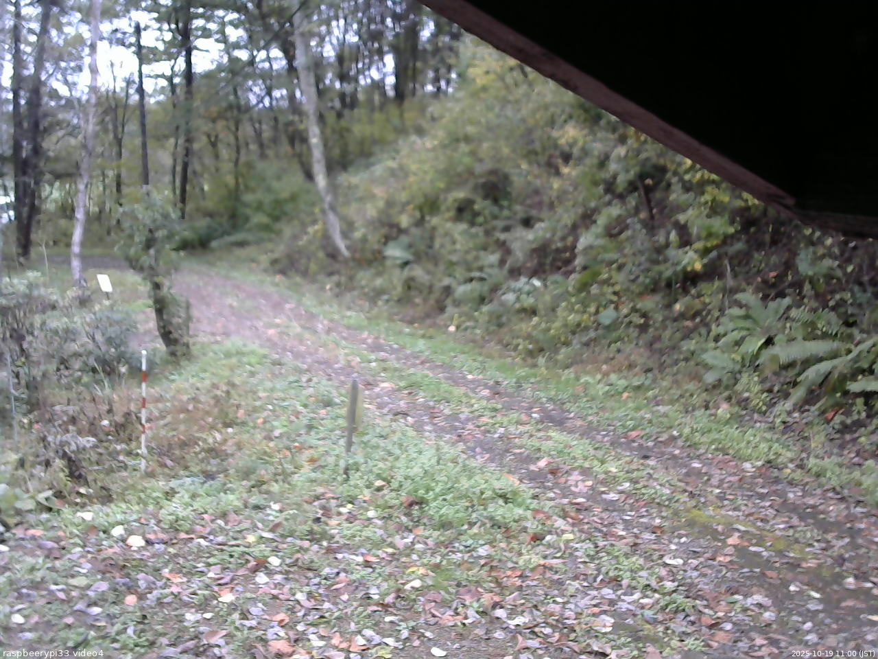 長野県菅平高原 ゆたか山荘 東側(坂下) 2025/10/19 11:00