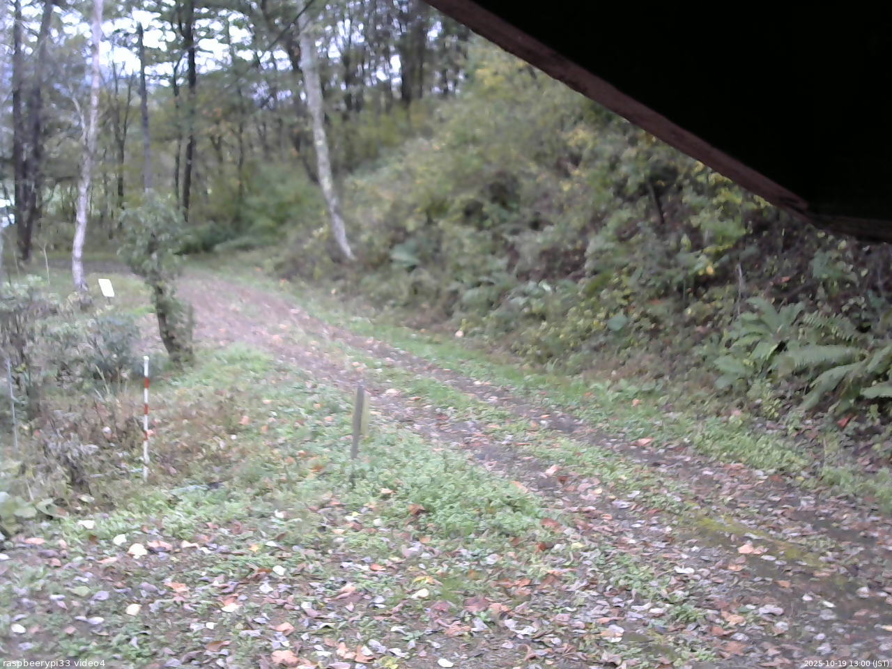 長野県菅平高原 ゆたか山荘 東側(坂下) 2025/10/19 13:00
