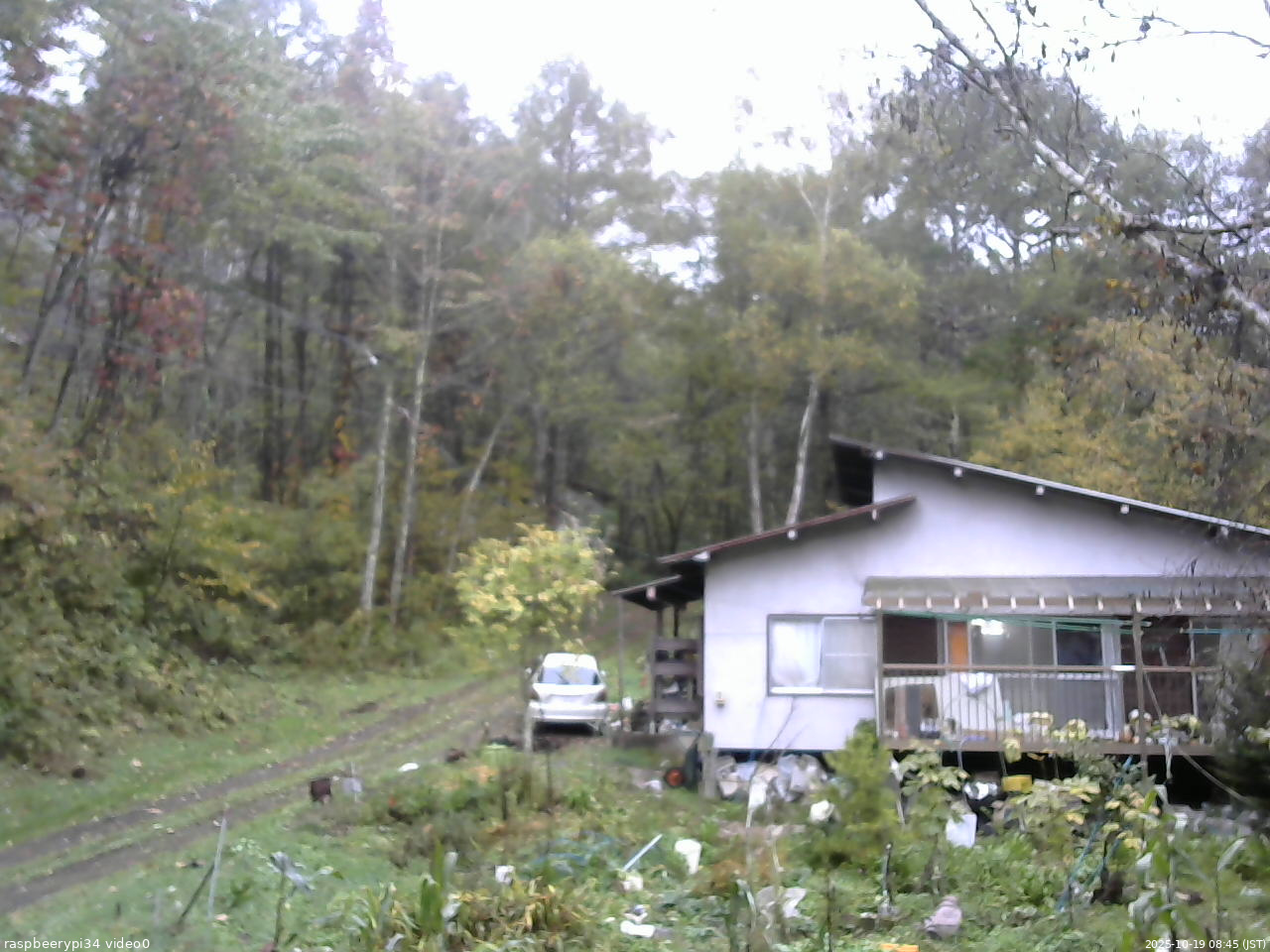 長野県菅平高原 ゆたか山荘 西側(坂上) 2025/10/19 08:45