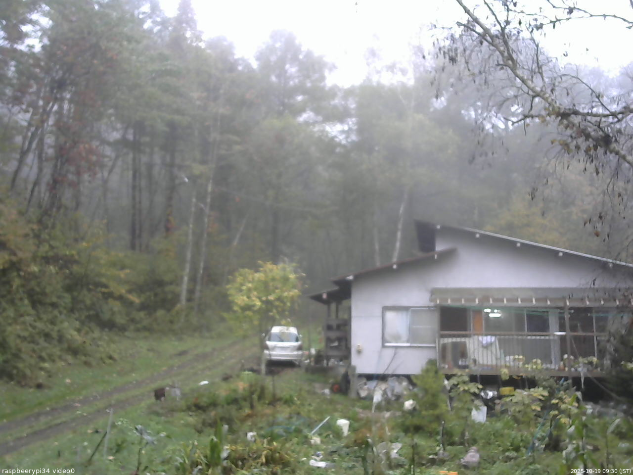 長野県菅平高原 ゆたか山荘 西側(坂上) 2025/10/19 09:30