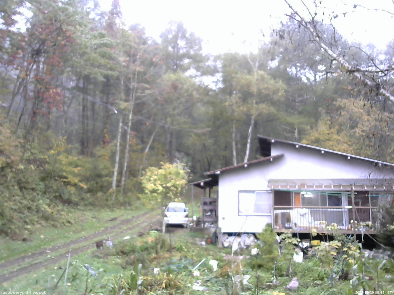 長野県菅平高原 ゆたか山荘 西側(坂上) 2025/10/19 09:45