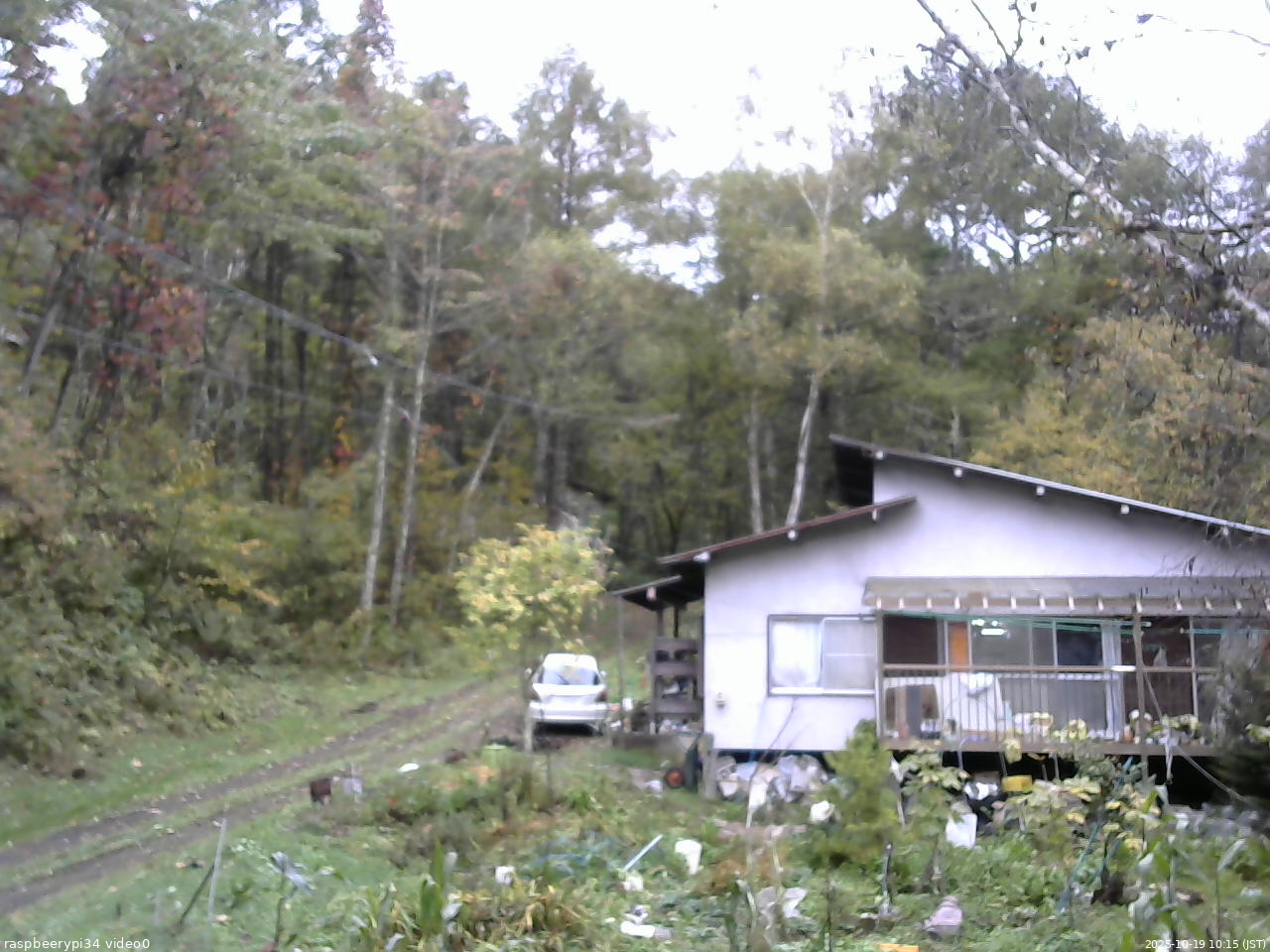 長野県菅平高原 ゆたか山荘 西側(坂上) 2025/10/19 10:15