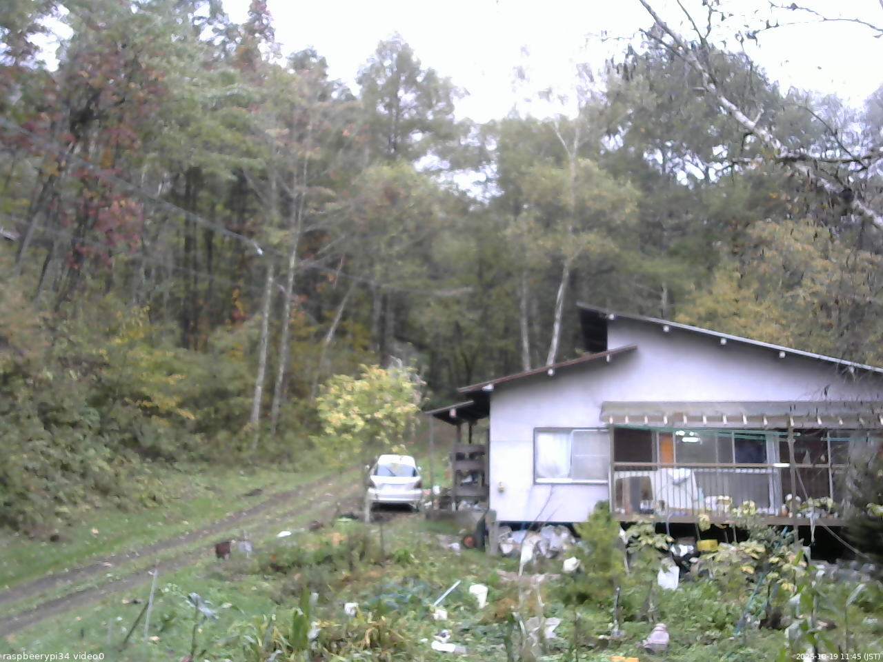 長野県菅平高原 ゆたか山荘 西側(坂上) 2025/10/19 11:45