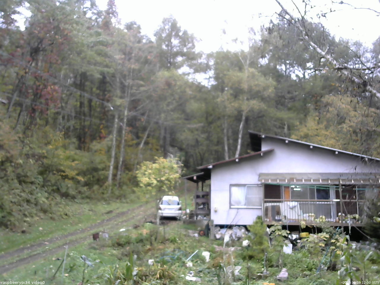 長野県菅平高原 ゆたか山荘 西側(坂上) 2025/10/19 12:00