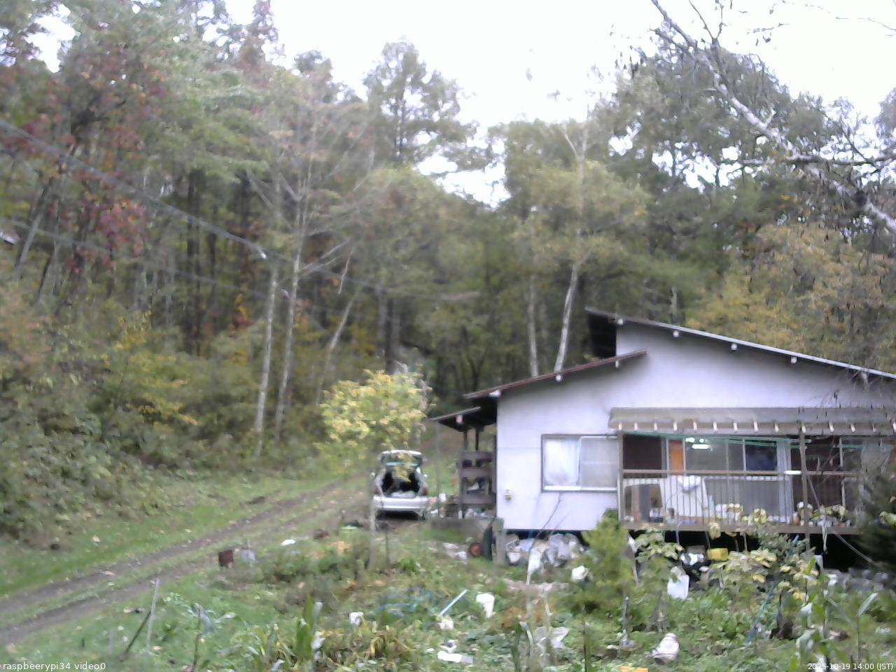 長野県菅平高原 ゆたか山荘 西側(坂上) 2025/10/19 14:00