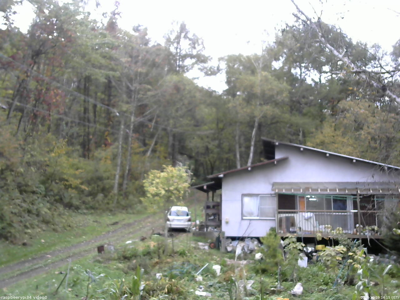 長野県菅平高原 ゆたか山荘 西側(坂上) 2025/10/19 14:15
