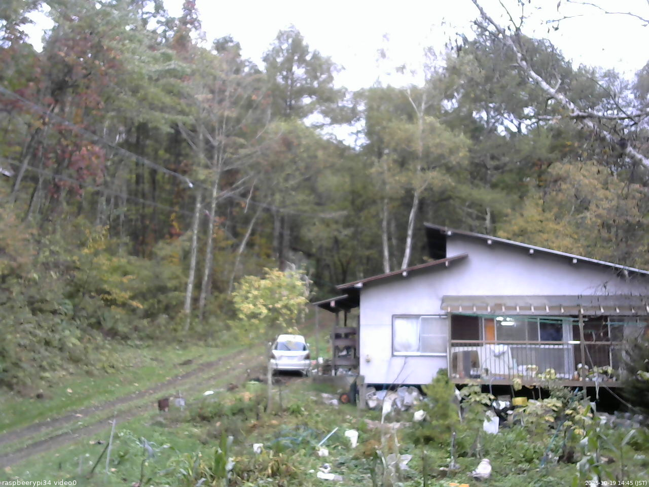 長野県菅平高原 ゆたか山荘 西側(坂上) 2025/10/19 14:45