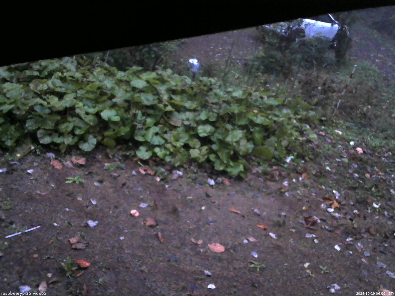 長野県菅平高原 ゆたか山荘 駐車場 2025/10/19 06:00