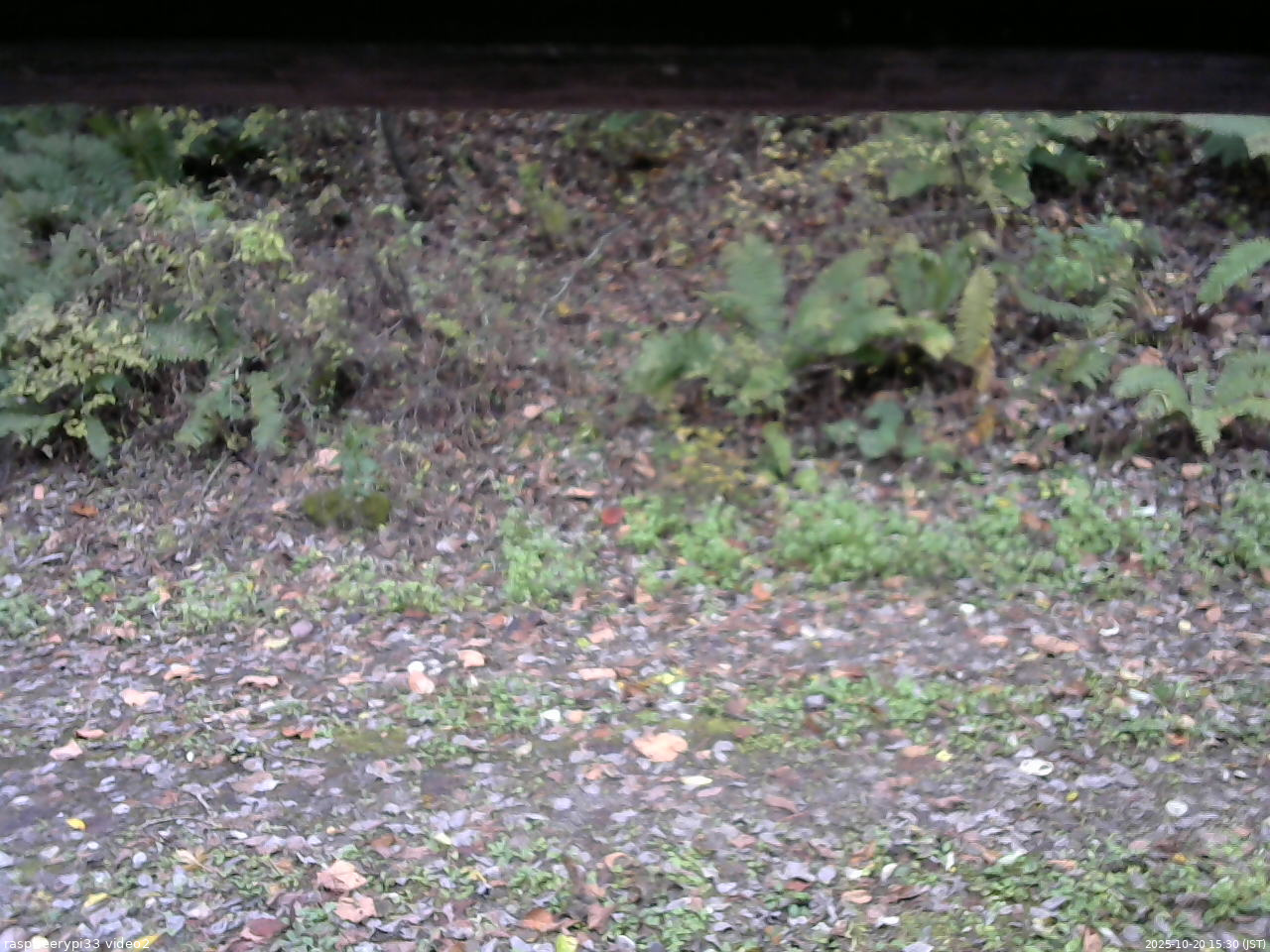 長野県菅平高原 ゆたか山荘 南側 2025/10/20 15:30