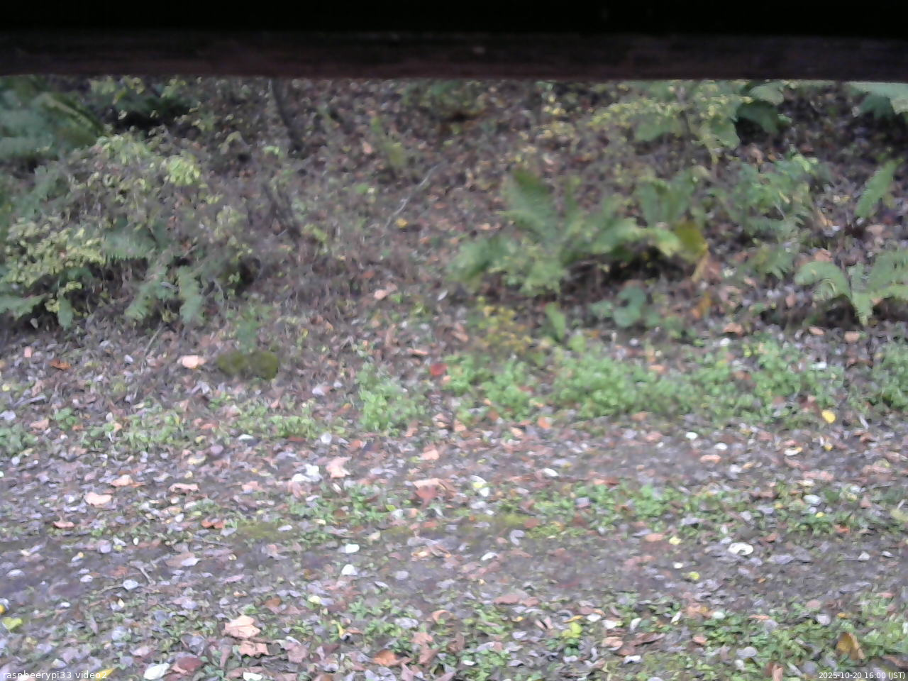 長野県菅平高原 ゆたか山荘 南側 2025/10/20 16:00
