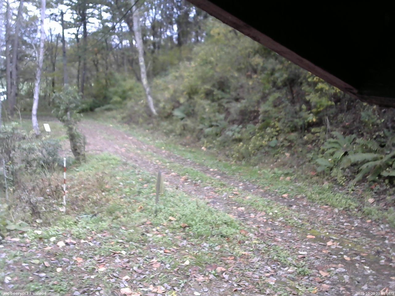 長野県菅平高原 ゆたか山荘 東側(坂下) 2025/10/20 12:45