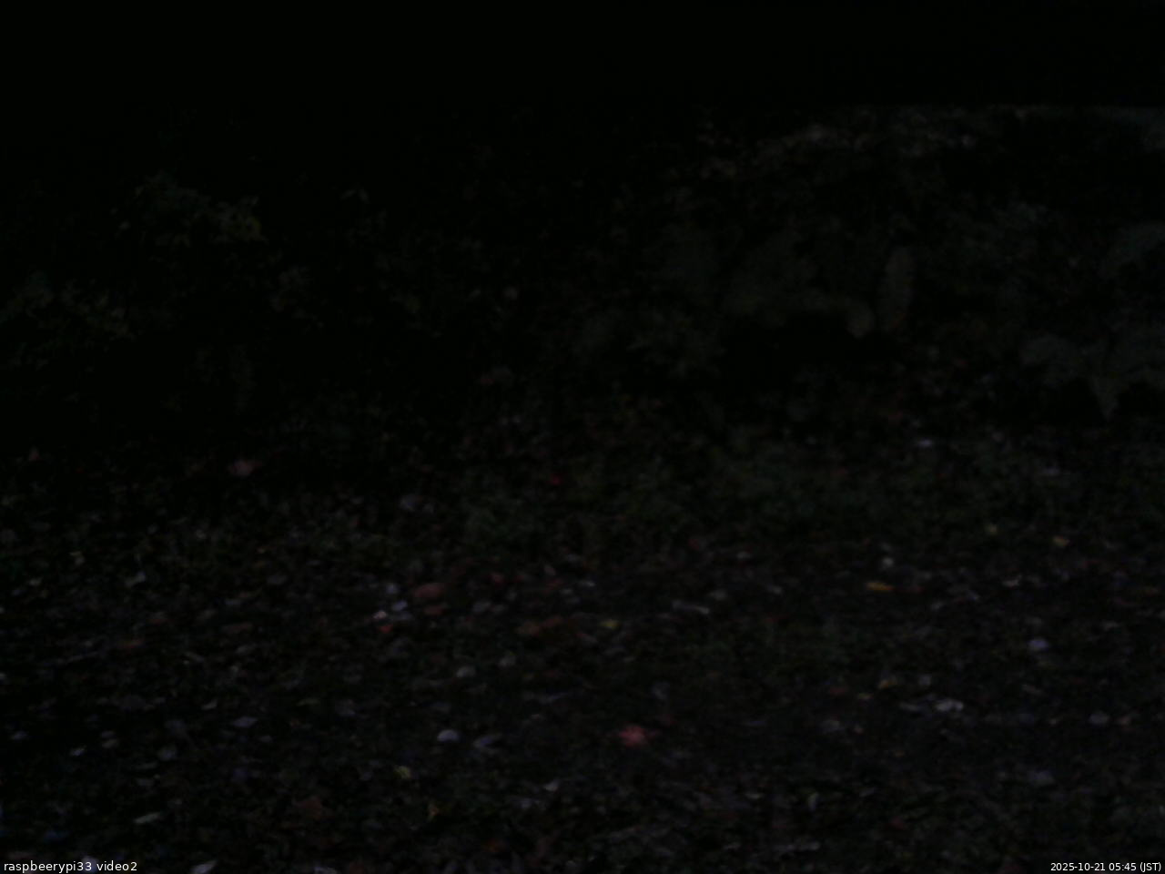 長野県菅平高原 ゆたか山荘 南側 2025/10/21 05:45