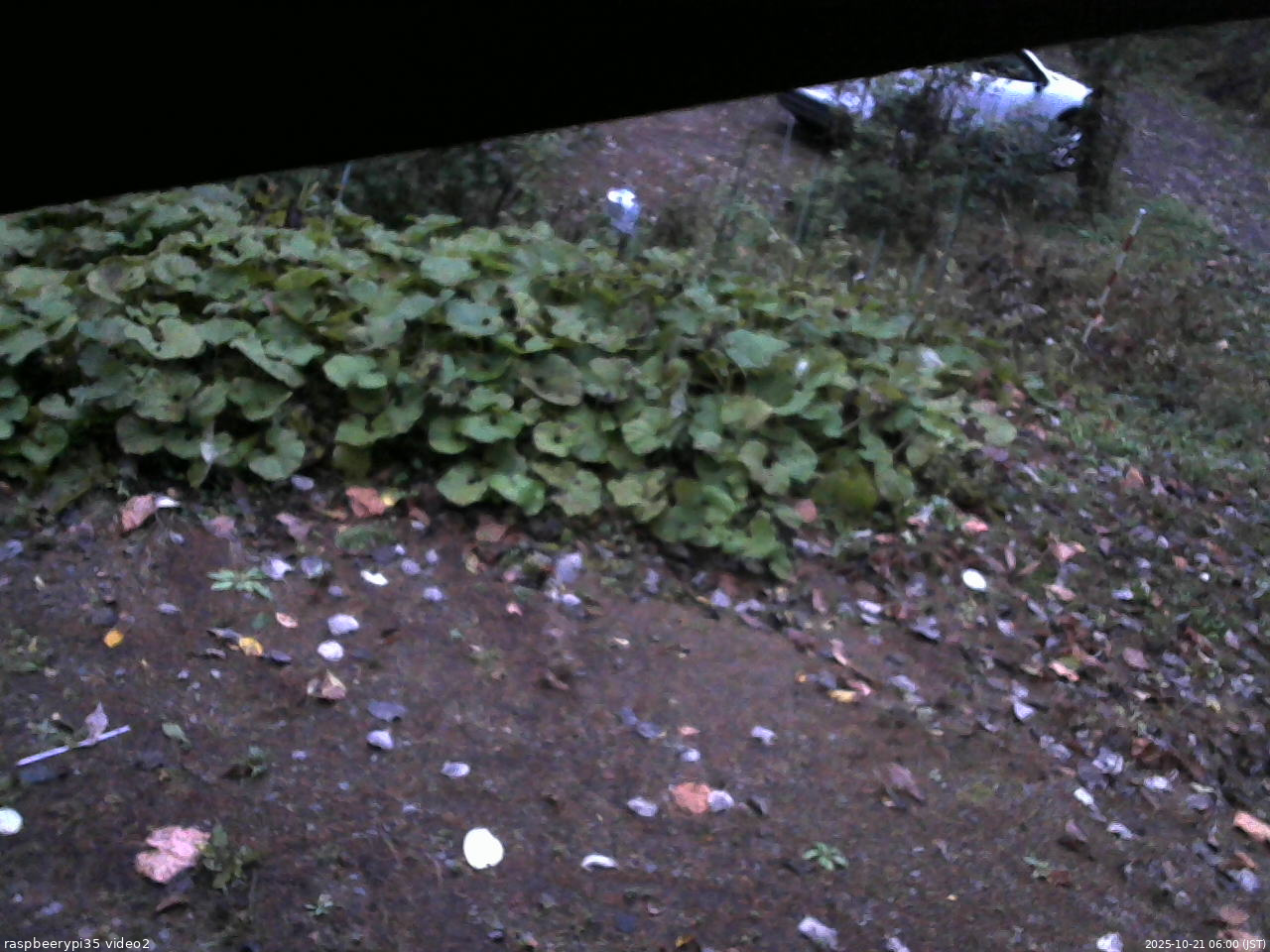 長野県菅平高原 ゆたか山荘 駐車場 2025/10/21 06:00