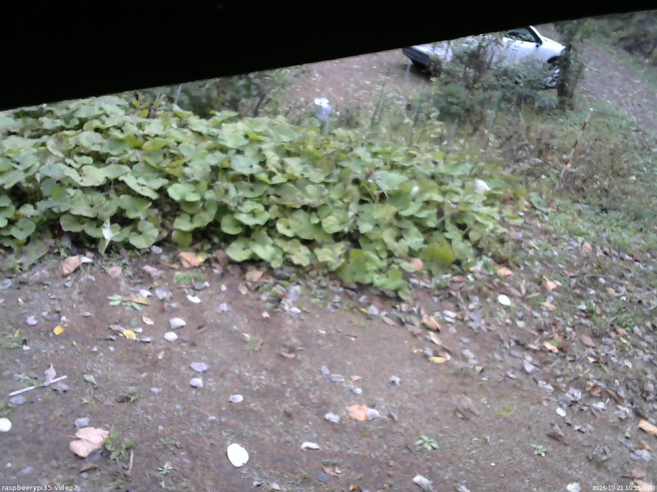 長野県菅平高原 ゆたか山荘 駐車場 2025/10/21 10:15