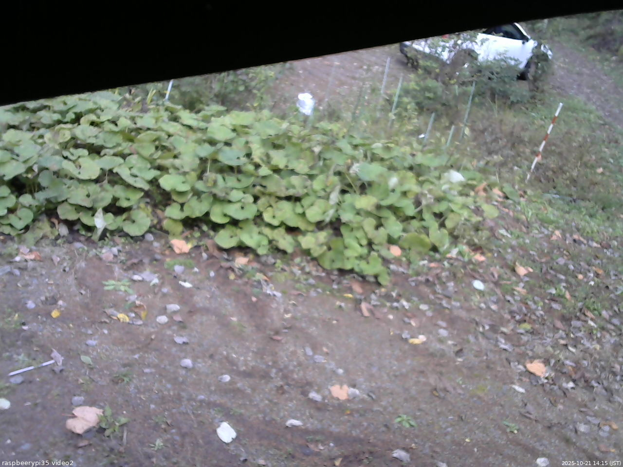 長野県菅平高原 ゆたか山荘 駐車場 2025/10/21 14:15