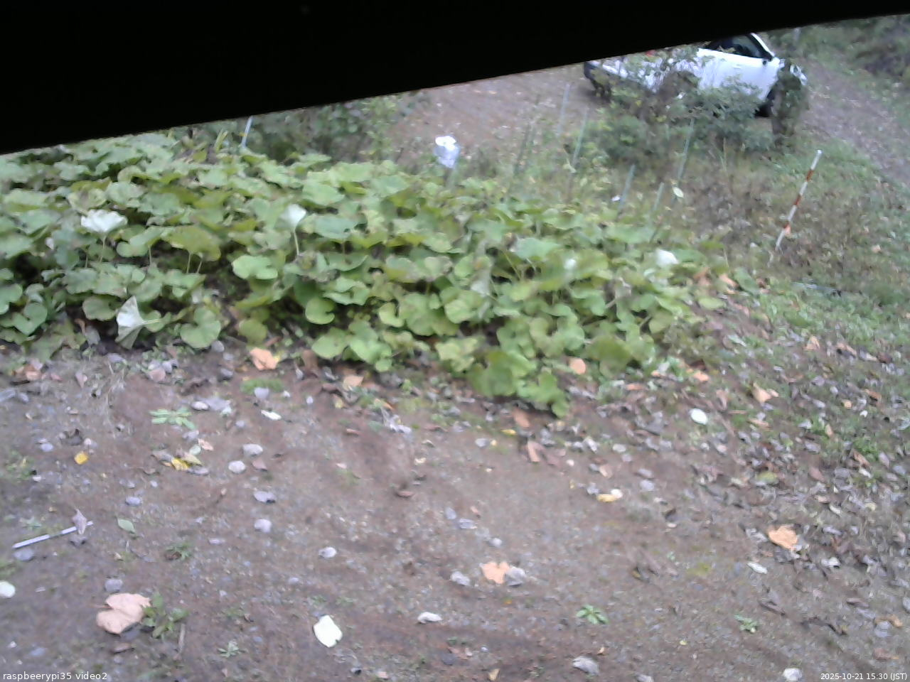 長野県菅平高原 ゆたか山荘 駐車場 2025/10/21 15:30