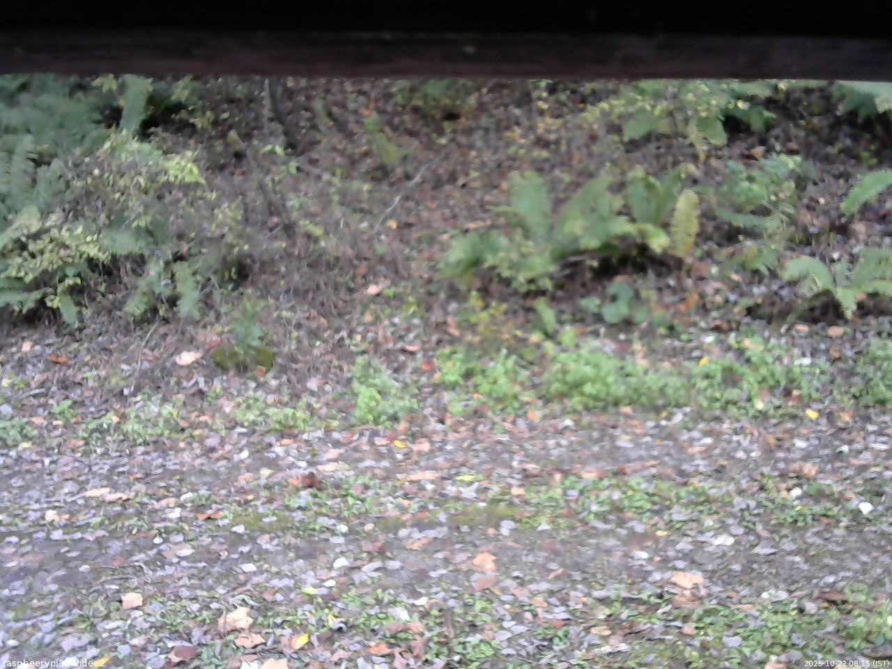長野県菅平高原 ゆたか山荘 南側 2025/10/22 08:15