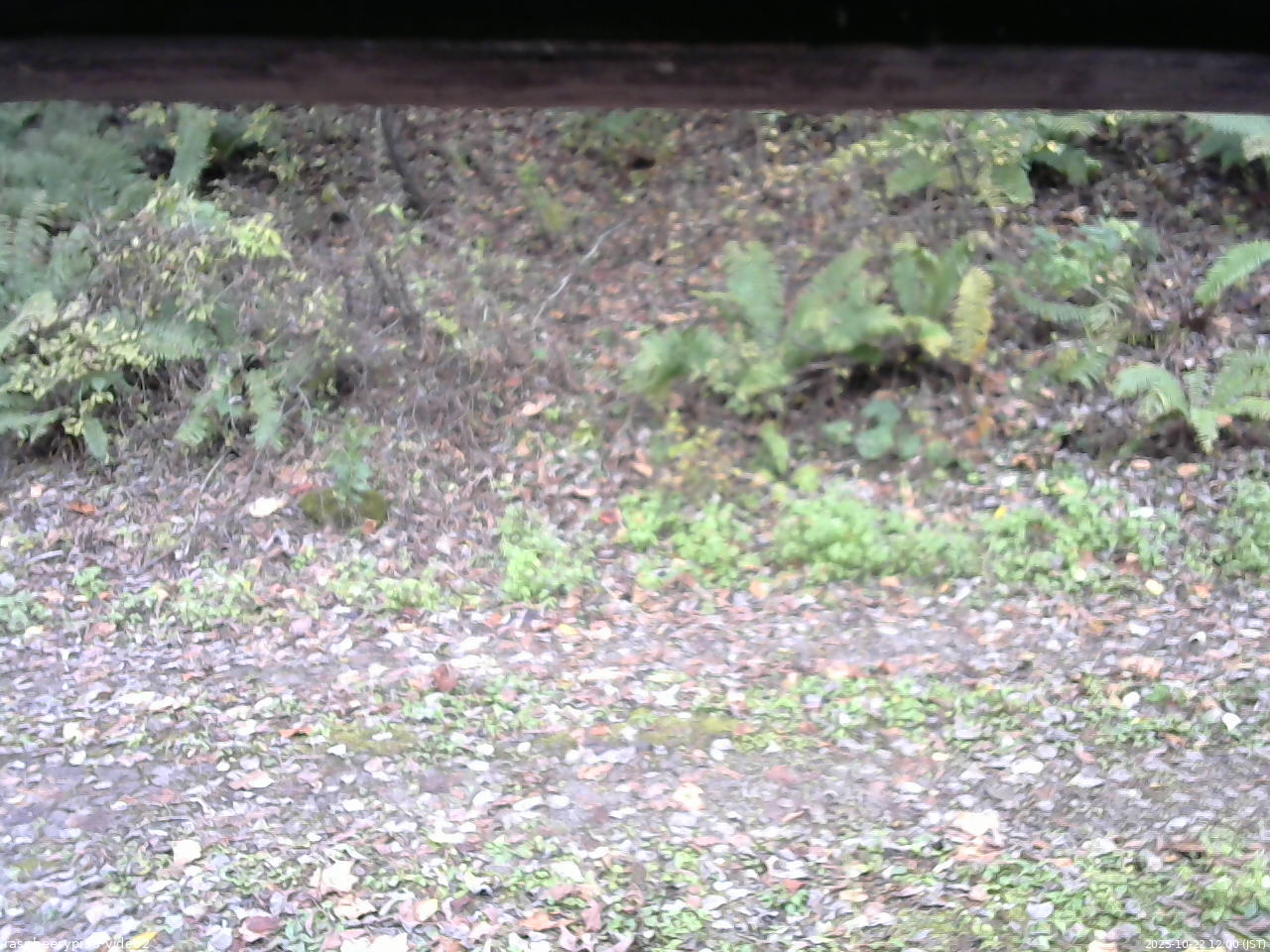 長野県菅平高原 ゆたか山荘 南側 2025/10/22 12:00