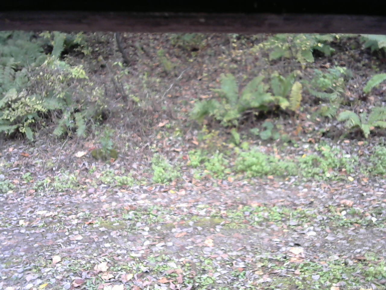 長野県菅平高原 ゆたか山荘 南側 2025/10/22 13:15